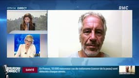 Affaire Epstein: 2 victimes potentielles en France et des complices de nationalité française, selon "Innocence en danger"