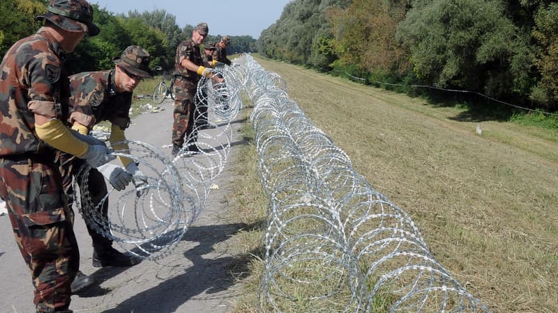 Ces barbelés s'étendent sur 41 kilomètres entre la Croatie et la Hongrie.