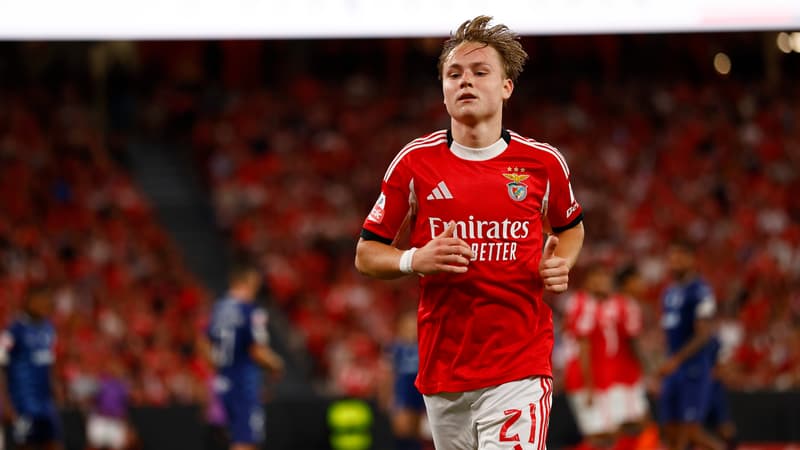 Andreas Schjelderup, joueur de Benfica, inculpé pour avoir diffusé des images à caractère sexuel impliquant des mineurs