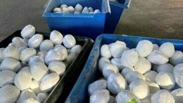 Cette image fournie par les douanes américaines montre les caisses de méthamphétamines emballées sous la forme d'oignons, au millieu desquelles la drogue était cachée