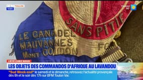 L'été chez nous: au Lavandou, à la découverte de l'histoire des commandos d'Afrique de 1944