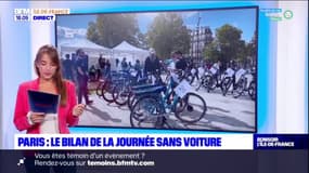 Paris: la pollution en baisse lors de la journée sans voiture