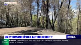 Alpes-Maritimes: un pyromane sévit-il autour de Biot? 