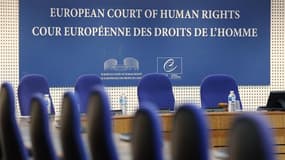 La Cour européenne des droits de l'Homme (CEDH) de Strasbourg a condamné jeudi les Pays-Bas pour n'avoir pas protégé des sources journalistiques dans une affaire portant sur des documents issus des services secrets. /Photo prise le 4 septembre 2012/REUTER