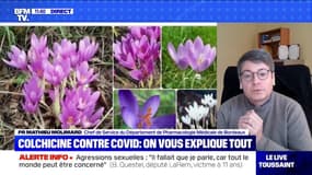 La colchicine, qu'est-ce que c'est ? BFMTV répond à vos questions