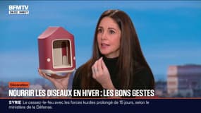 C'est votre vie - Les bons gestes pour nourrir les oiseaux en hiver