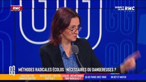 Méthodes radicales écologistes : "Mettre dans le même sac écolo et terroriste est scandaleux !"