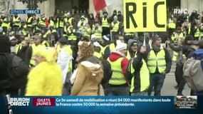 "Les gens ne sont plus bêtes que les députés": le R.I.C largement plébiscité par les internautes et auditeurs de RMC 