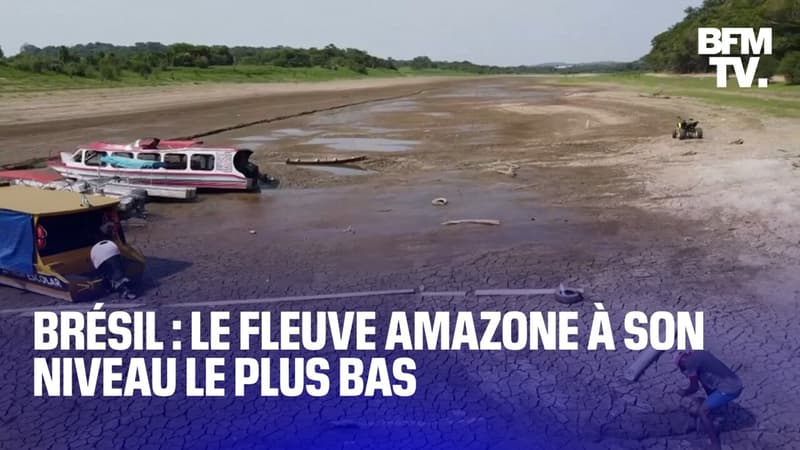 Brésil: le niveau du fleuve Amazone n'a jamais été aussi bas depuis le début des relevés, il y a plus d'un siècle