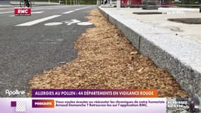 Allergies au pollen: 44 départements en vigilance rouge 