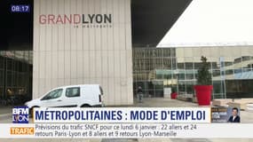 Compétences, élus, périmètre: comment fonctionne la Métropole de Lyon