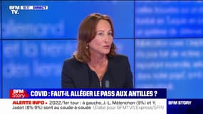 Pour Ségolène Royal, vouloir faire appliquer les mêmes règles en Guadeloupe qu'en métropole est "une imbécilité, un manque d'expérience, de connaissances des territoires"
