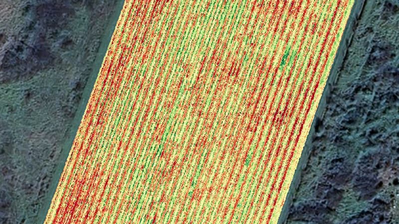 "Une punition incompréhensible": les viticulteurs dénoncent l'interdiction en 2027 de certains produits à base de cuivre (qu'ils utilisent depuis 150 ans)