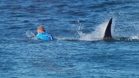 Le surfeur Mick Fanning a été victime d'une attaque de requin dimanche 19 juillet en Afrique du Sud.

