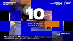 Planète locale du lundi 24 juin - Menton : un refuge pour les chats handicapés