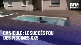  Canicule : le succès fou des piscines XXS 