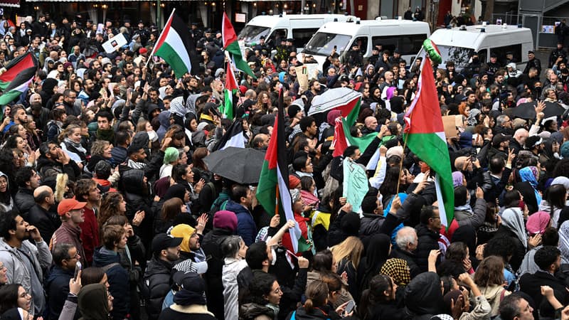 Des manifestants se sont rassemblés à Paris en soutien à la Palestine malgré l'interdiction.