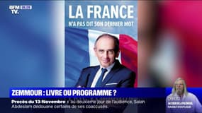 Ce que laisse entendre Éric Zemmour dans son livre "La France n'a pas dit son dernier mot"