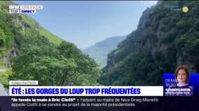 Alpes-Maritimes: faut-il limiter la fréquentation dans les Gorges du Loup?