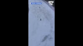 Un ours se lance à la poursuite d'un skieur en Roumanie