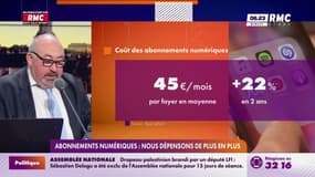 ManuConso - Abonnements numériques : nous dépensons de plus en plus