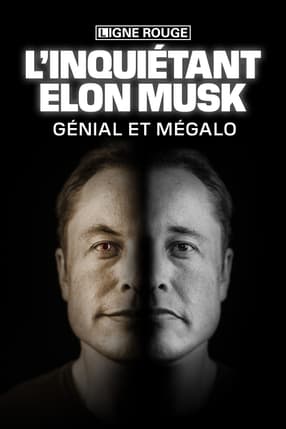 Génial et mégalo, l'inquiétant Elon Musk 