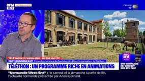 Téléthon: quelles sont les animations prévues à Caudebec-lès-Elbeuf?