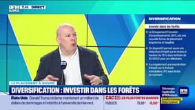 Le placement à suivre : Diversification, investir dans les forêts - 03/02