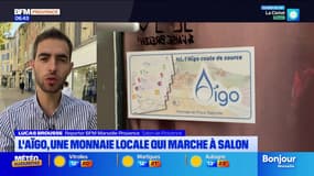 Bouches-du-Rhône: l'Aïgo, une monnaie locale qui marche à Salon-de-Provence