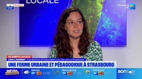 Planète locale du mercredi 4 juin - Une ferme urbaine et pédagogique à Strasbourg