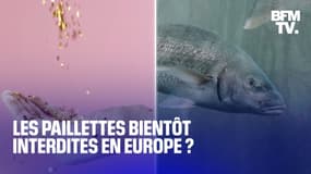  Les paillettes interdites en Europe dès lundi 