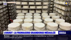 Calvados: à la découverte de la fromagerie Graindorge, régulièrement récompensée