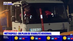Métropole de Lyon: le plan de viabilité hivernale activé