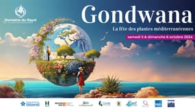 Gondwana