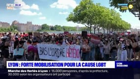 Lyon : forte mobilisation pour la cause LGBT