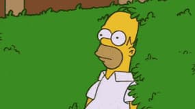 Le célèbre GIF d'Homer Simpson en train de se cacher