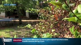 "S'il vous plaît, changez vos habitudes!", à Vérargues dans l’Hérault, les habitants ne veulent plus revivre le record absolu de température en France daté de juin dernier