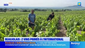 Rhône: deux Beaujolais du domaine de Colonat parmi les 50 meilleurs vins du monde