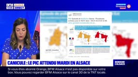Canicule: le pic de chaleur est attendu mardi en Alsace