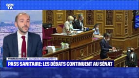 Pass sanitaire: le débat continue au Sénat - 24/07