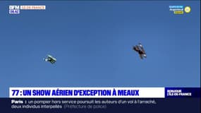 Seine-et-Marne: un show aérien d'exception à Meaux