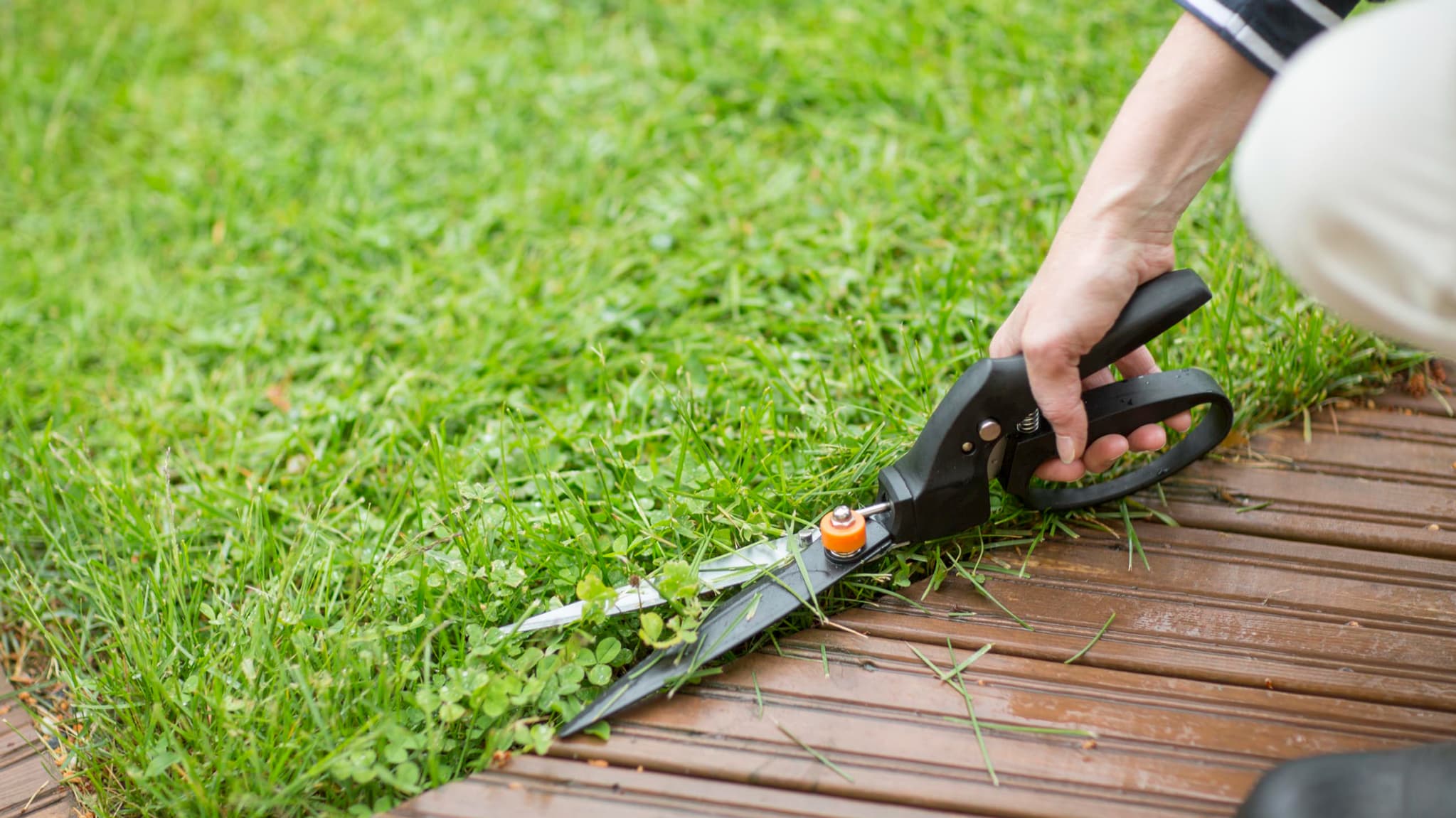 La marque Fiskars, leader mondial des outils de coupe disponible chez Raviday Jardin 