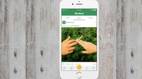 MassRoots pourrait débarquer à Wall Street.