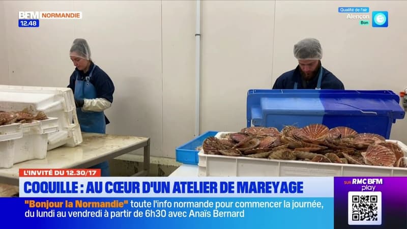 Port-en-Bessin-Huppain: au cœur d'un atelier de mareyage 