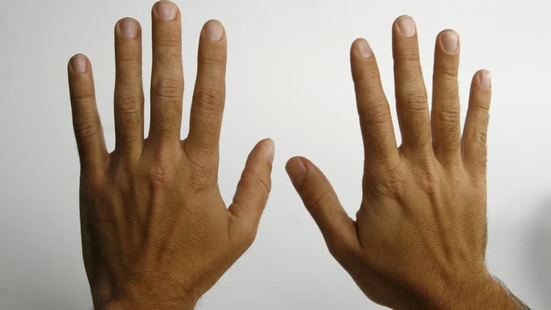 La main de l'homme, pas si "évoluée" que cela?