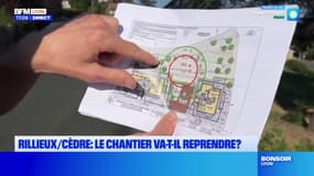 Rillieux-la-Pape: le chantier immobilier proche d'un cèdre bicentenaire encore bloqué