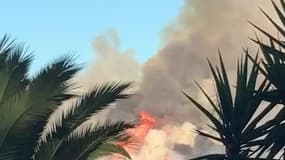 Var : immense incendie à la Croix-Valmer - Témoins BFMTV