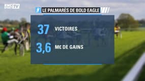 Prix d’Amérique - Bold Eagle va tenter de s’imposer pour la 3e fois de suite