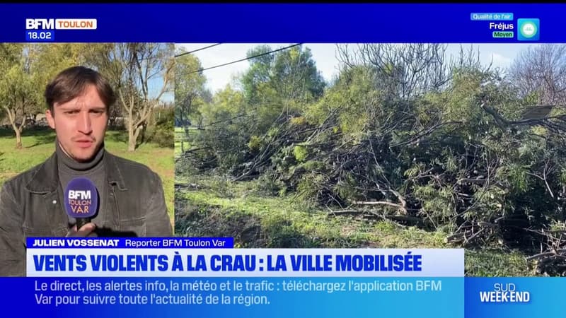 Vents violents à La Crau: la mairie demande la reconnaissance de l'état de catastrophe naturelle  