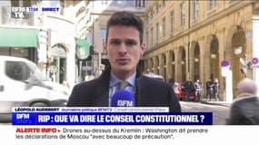  Référendum d’initiative partagée: que va dire le conseil constitutionnel?